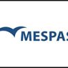 MESPAS LTD